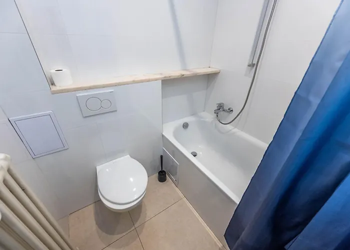 Premyslovska Apartment Prag