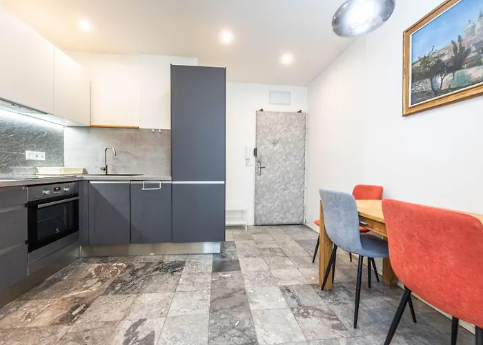 Apartment Premyslovska *