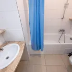 Premyslovska Prága
